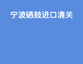 宁波硒鼓进口清关
