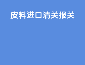 皮料进口清关报关