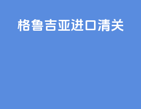 格鲁吉亚进口清关