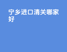 宁乡进口清关哪家好
