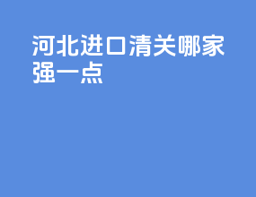 河北进口清关哪家强一点