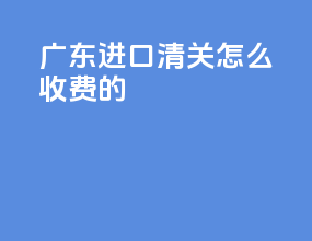 广东进口清关怎么收费的