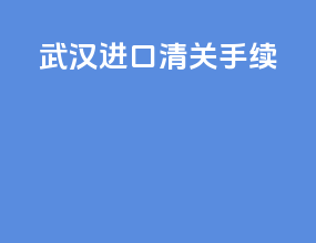 武汉进口清关手续