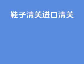 鞋子清关进口清关