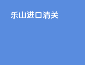 乐山进口清关