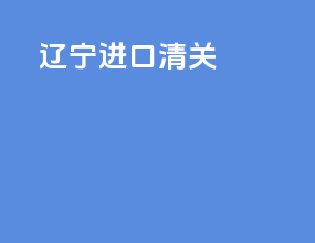 辽宁进口清关