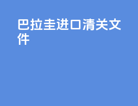巴拉圭进口清关文件
