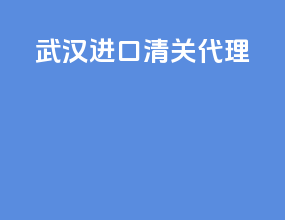 武汉进口清关代理
