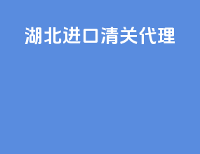 湖北进口清关代理