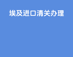 埃及进口清关办理