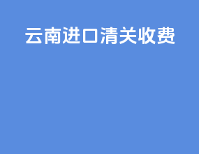 云南进口清关收费