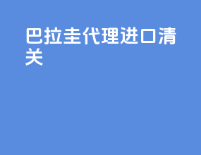 巴拉圭代理进口清关