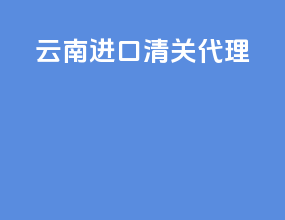 云南进口清关代理