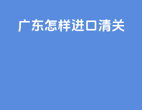 广东怎样进口清关