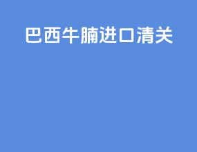 巴西牛腩进口清关