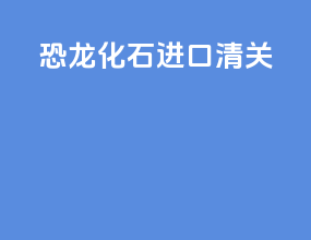 恐龙化石进口清关