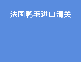 法国鸭毛进口清关
