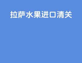 拉萨水果进口清关