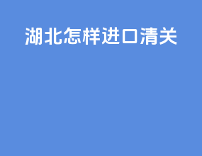 湖北怎样进口清关
