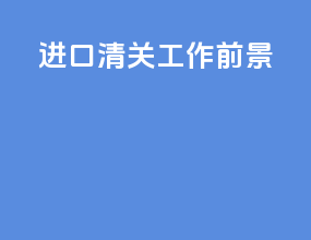进口清关工作前景