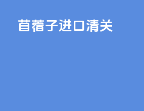 苜蓿子进口清关