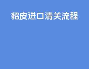 貂皮进口清关流程