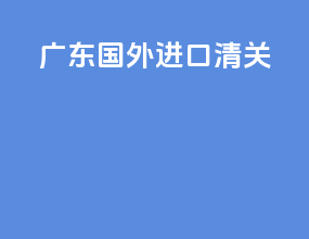 广东国外进口清关