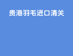 贵港羽毛进口清关