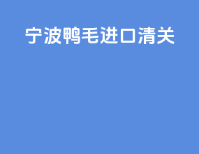 宁波鸭毛进口清关