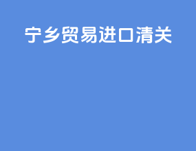 宁乡贸易进口清关