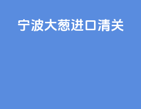 宁波大葱进口清关