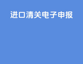 进口清关电子申报