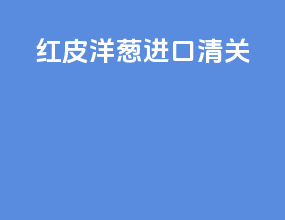 红皮洋葱 进口清关