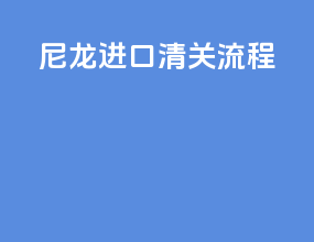 尼龙进口清关流程