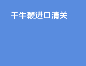 干牛鞭进口清关