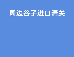 周边谷子进口清关