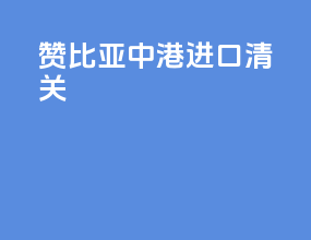 赞比亚中港进口清关