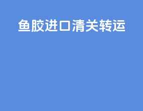 鱼胶进口清关转运