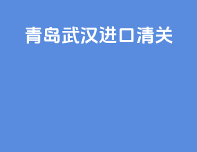 青岛武汉进口清关