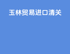 玉林贸易进口清关