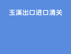 玉溪出口进口清关