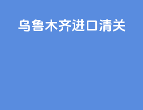 乌鲁木齐进口清关