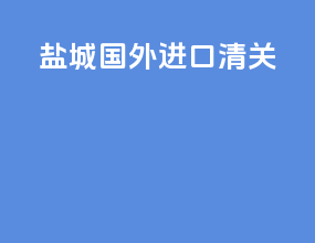 盐城国外进口清关