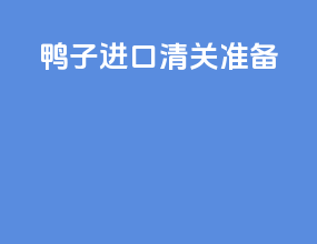 鸭子进口清关准备