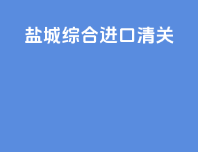 盐城综合进口清关