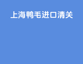 上海鸭毛进口清关