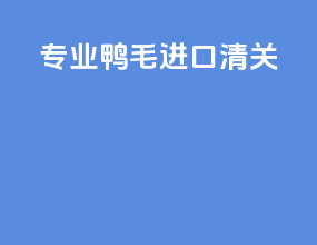 专业鸭毛进口清关