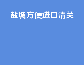 盐城方便进口清关