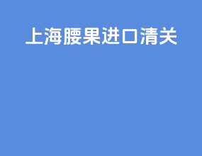 上海腰果进口清关