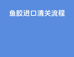 鱼胶进口清关流程